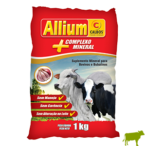 Allium Pó 1kg - Calbos