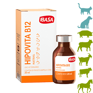 Hipovita B12 Injetável 20ml - Ibasa