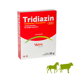 Tridiazin Pasta Oral 30g - Vansil