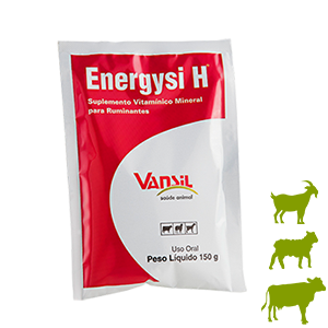 Energysi H 150g - Vansil