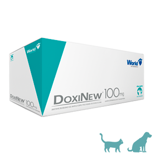 Doxinew 100mg (display C/ 140 Comprimidos) - World