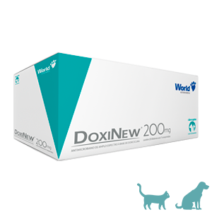 Doxinew 200mg (display C/ 140 Comprimidos) - World