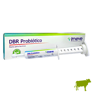 Probiótico Dbr Pasta 34g - Ibasa