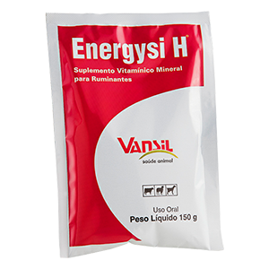Energysi H 150g - Vansil